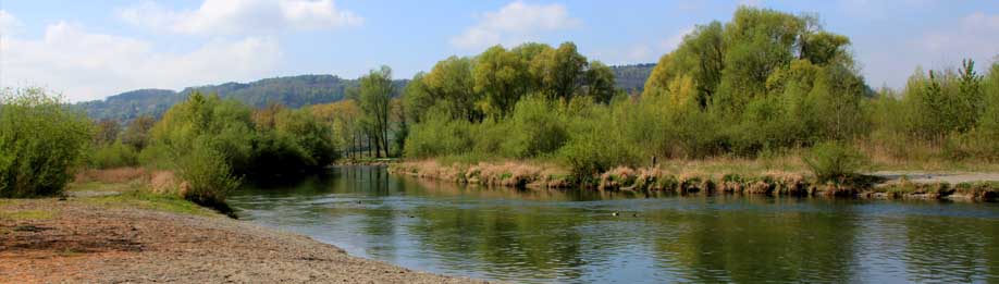 "Hausen Beach" - Die Renaturierte Aach bei Hausen