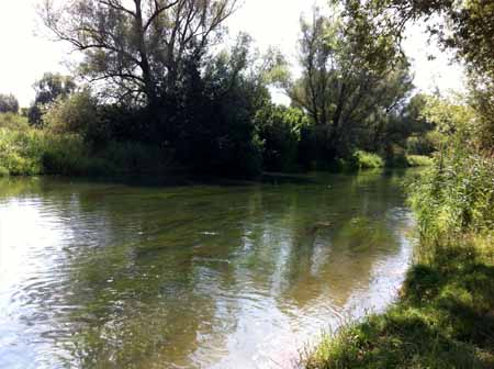 Flusslandschaft der Aach