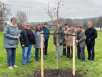 Standort des Baums: Im Eschle in Hausen an der Aach